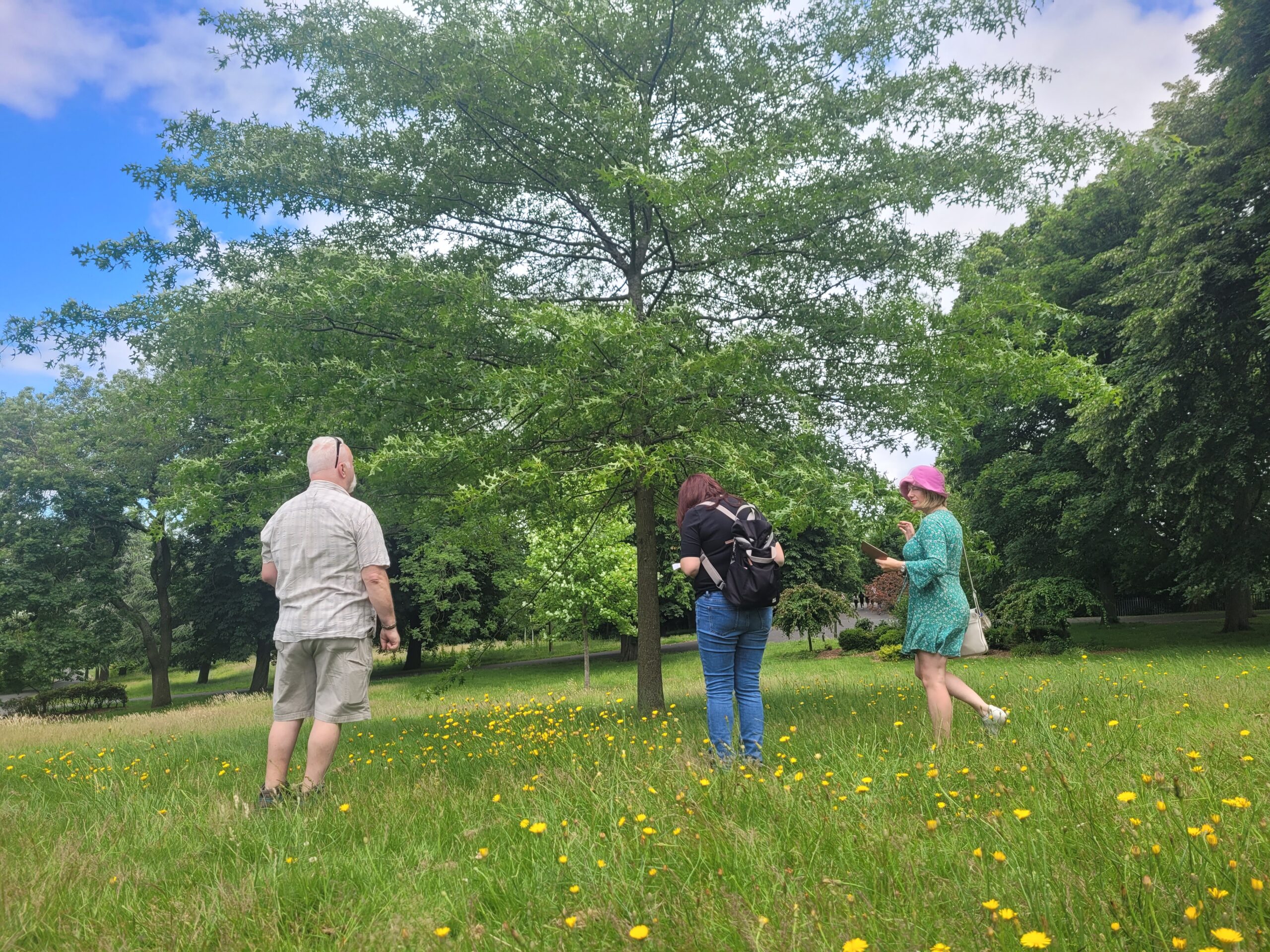 Mac, Dee, and Tonia mapping the tree trails on TreePlotter in Handsworth Park.