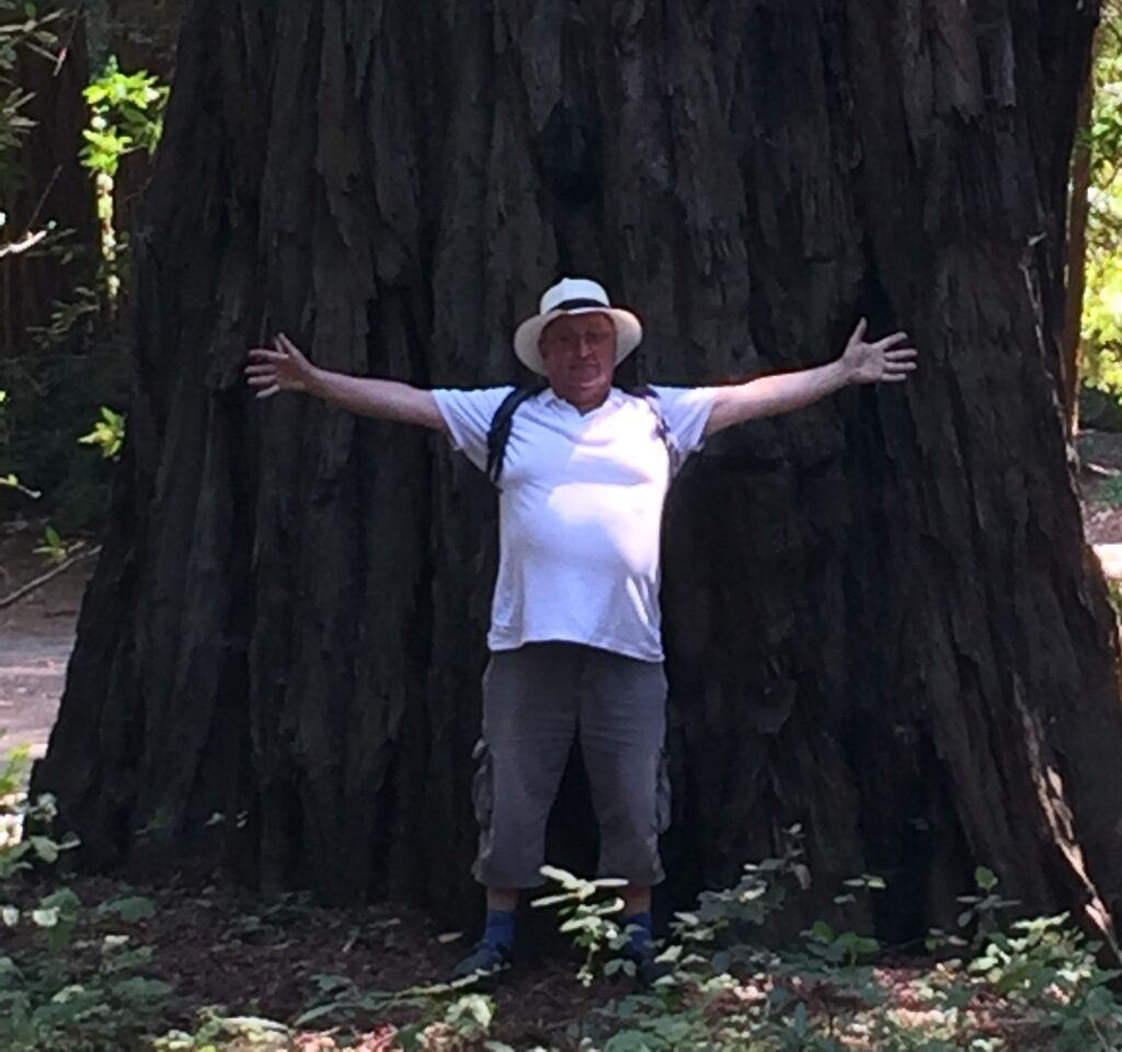 Steve Watson in front of a very big tree