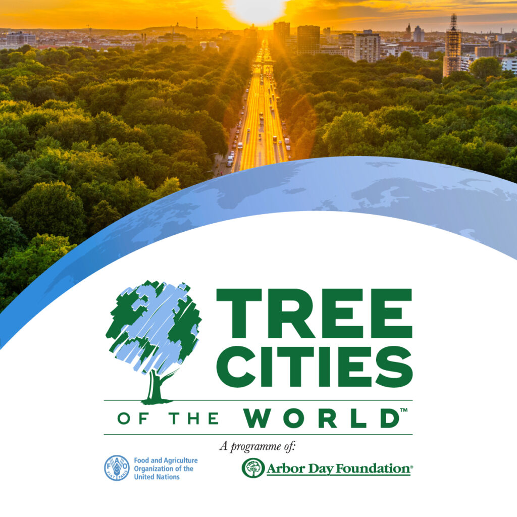 Tree Cities graphic