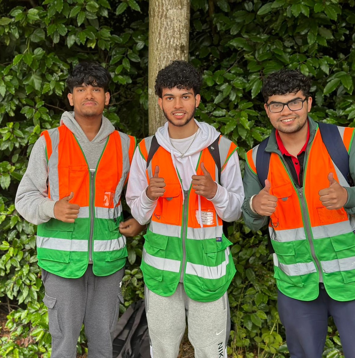 urban forest volunteers