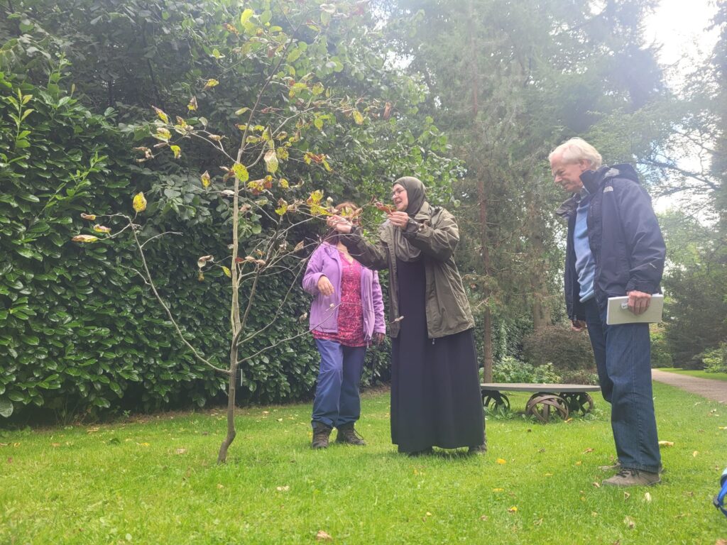 Nina showing Sonja and Martin, two new urban forest volunteers, how to survey a newly planted street tree during a practice session at Winterbourne Gardens.