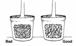 Drawing of two container-grown stock, one good, one bad, illustrating quality in tree selection.