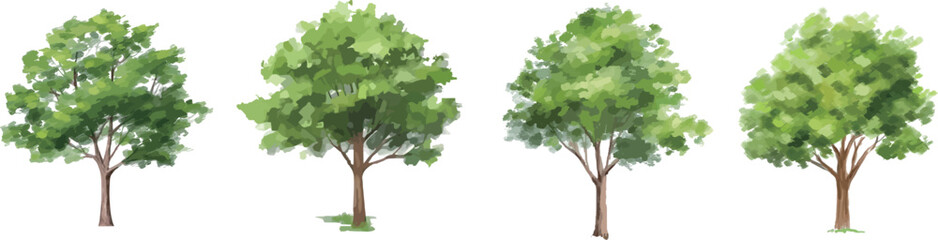 Row of 4 watercolour trees
