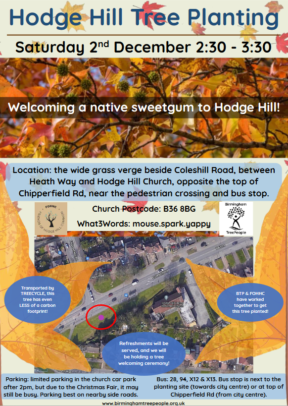 Hodge Hill planting flyer for the urban forest accelerator and tree week, 02/12/23