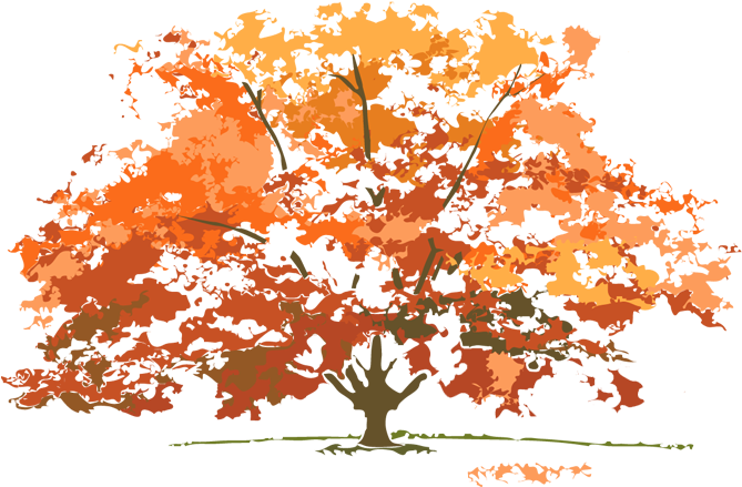 Birmingham TreePeople Autumn tree banner image with transparent background