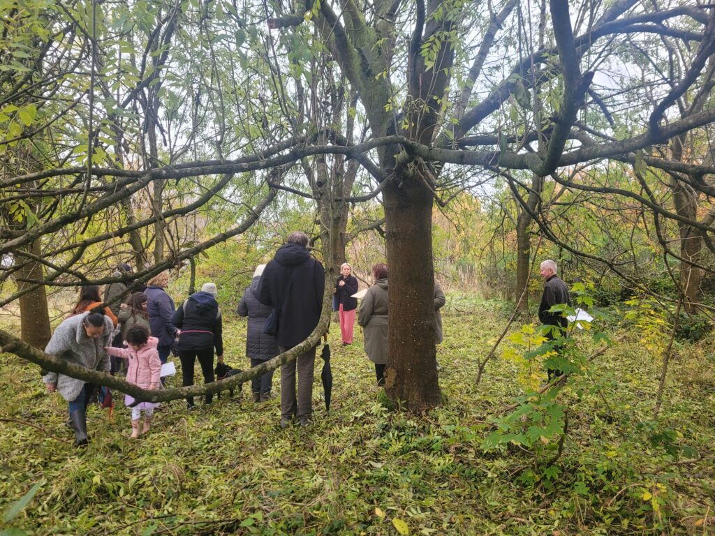 The group of walkers taking part in the hodge hill common tree walk - talking about ash trees for tree week