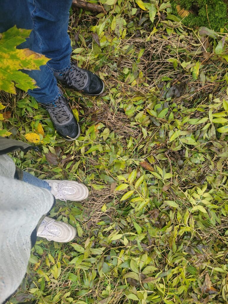 People's feet during the tree walk 
