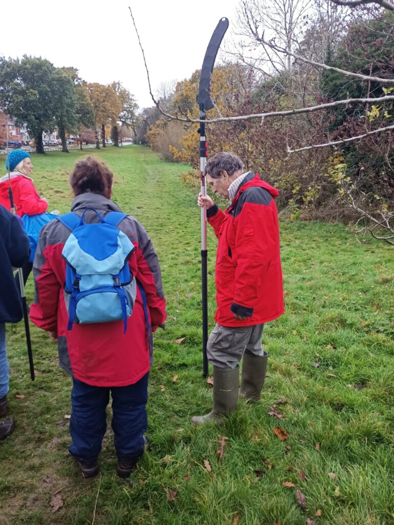 orchard pruning training