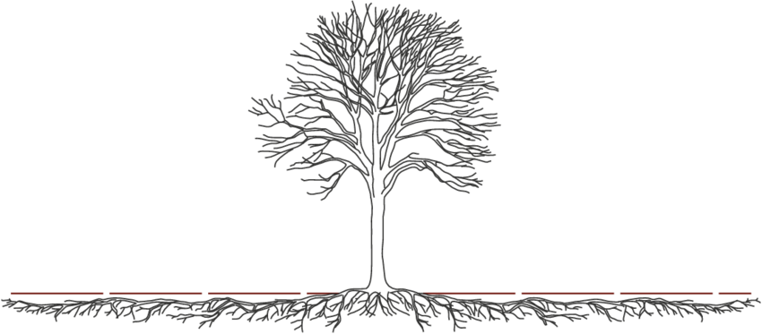 Birmingham TreePeople's Free Training - plant your roots with us - b/w tree outline with spreading roots.