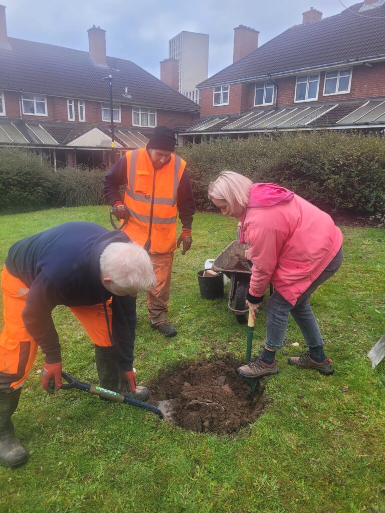 Katy helping Steve and Mark from the woodland team dig the new planting hole