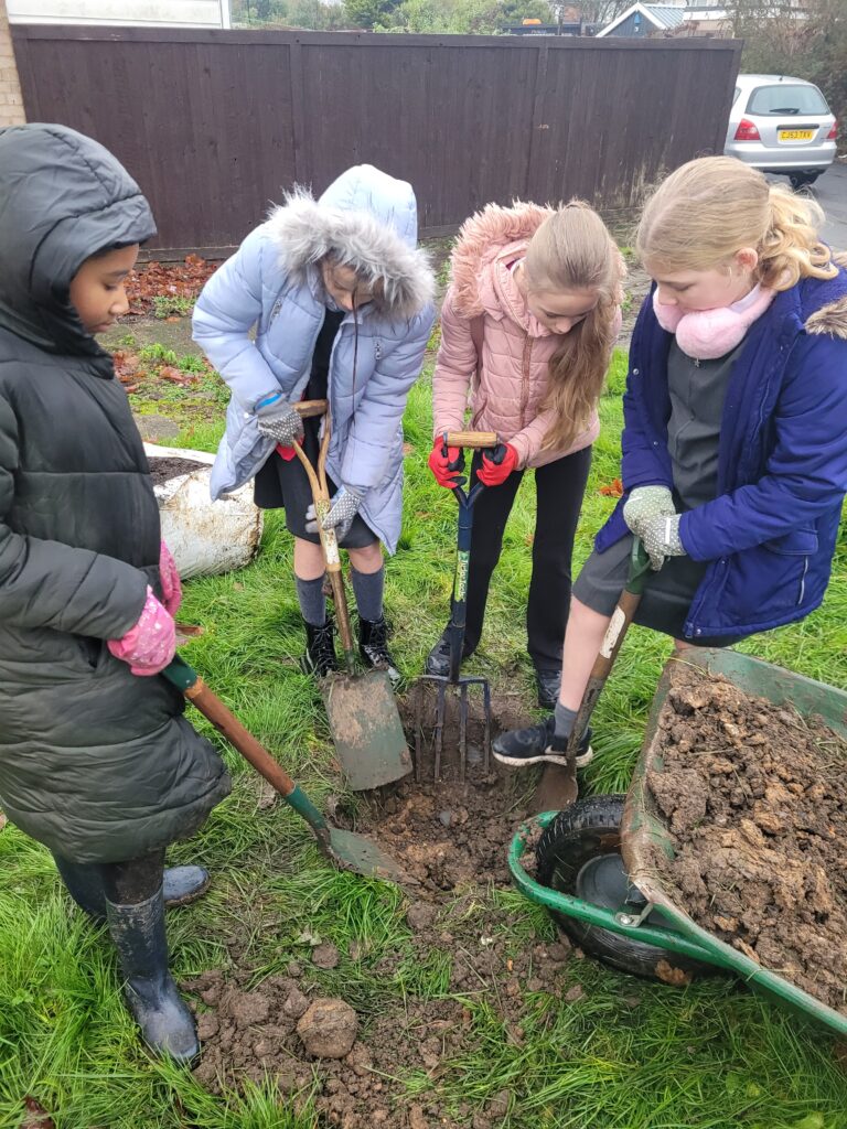 The girls from Highters Heath Community School digging the planting hole