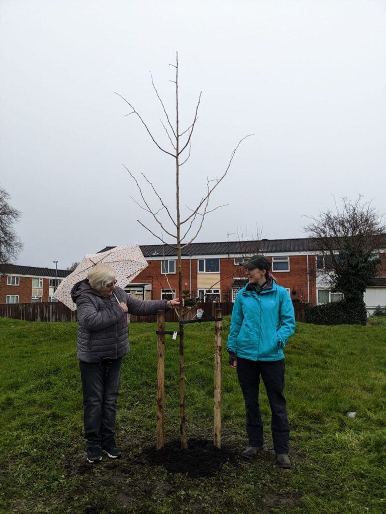 Hazel in Bromford with her newly planted gingko.