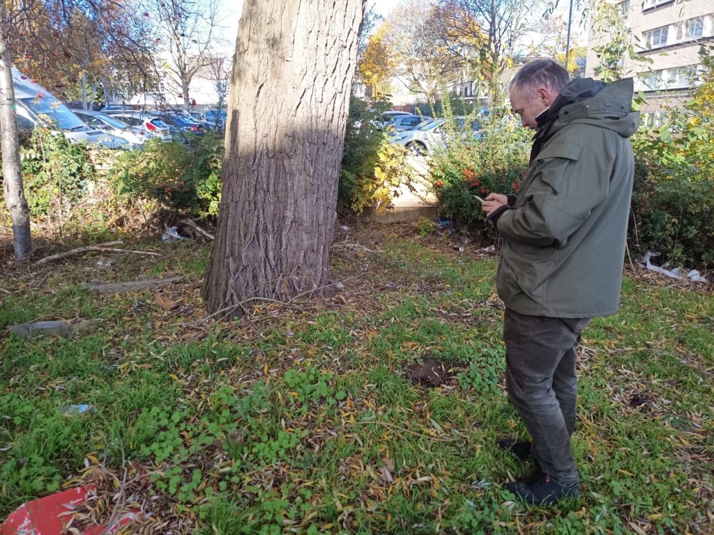 Pete marking the new hazardous willow tree