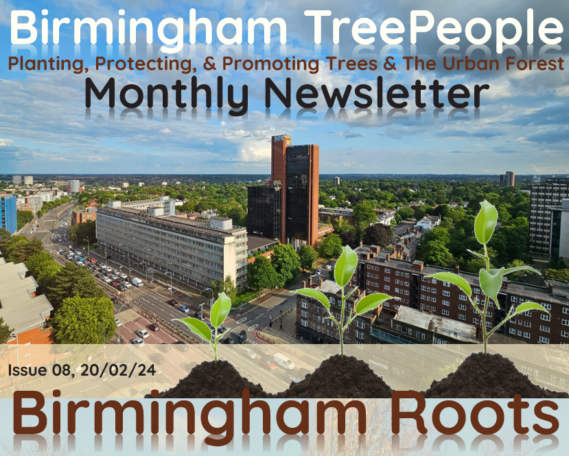 Birmingham Roots newsletter screenshot