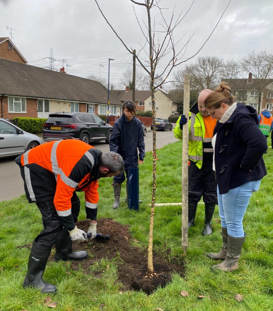 Arconic and BCC tree planting