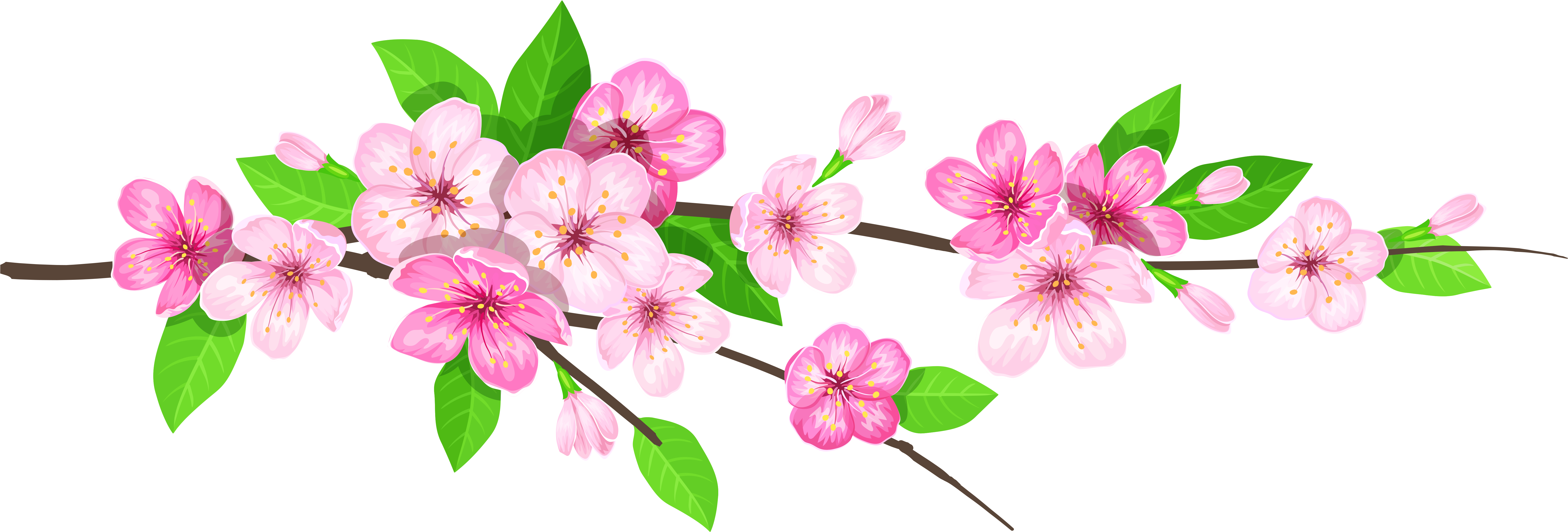 Spring time sakura blossom banner image March 2024