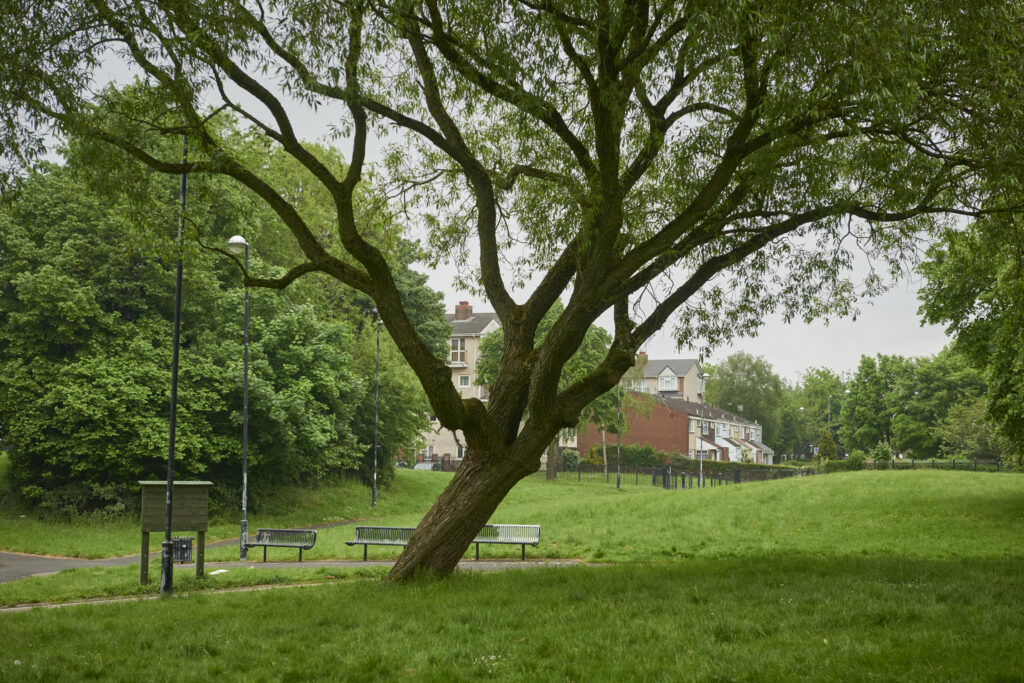Urban Tree Festival: Tree Equity Walk and Talk, 16th May 2024, Urban Forest Accelerator project
