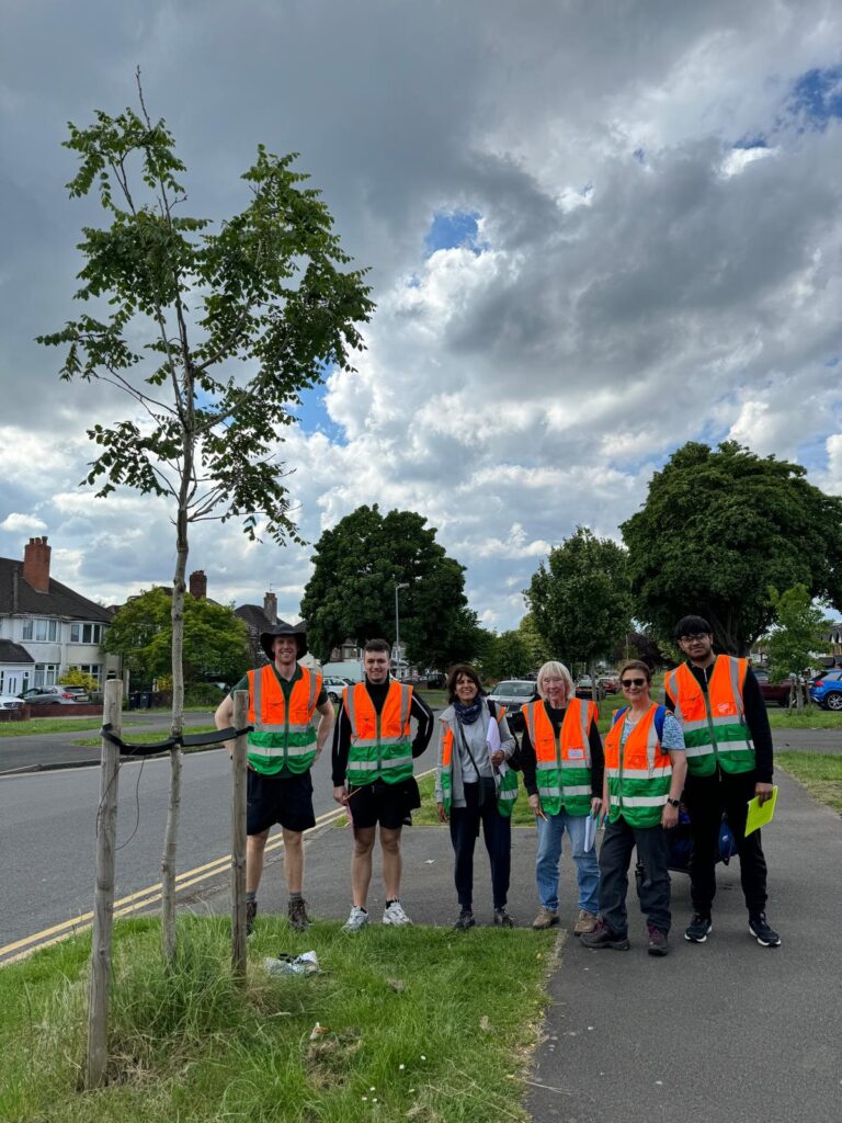 Street Tree Surveying in Perry Barr Saturday 25th May 2024