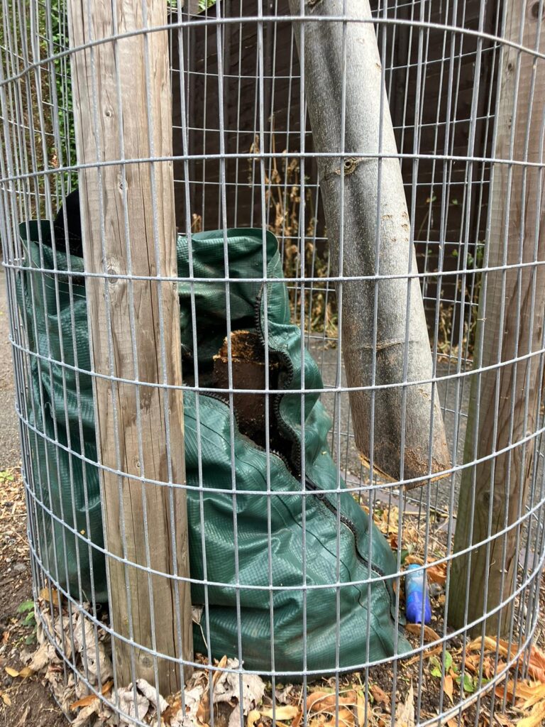 Street tree survey in gravelly hill vandalism