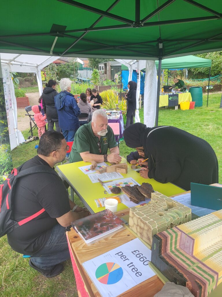 Sustainable Futures Festival at Caldmore Community Garden, teaching the joy of tree rings