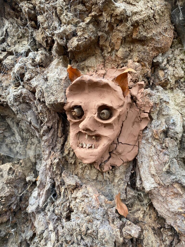 Pests and diseases free monthly training with Tonia in Handsworth Park - a clay face in the tree from Halloween