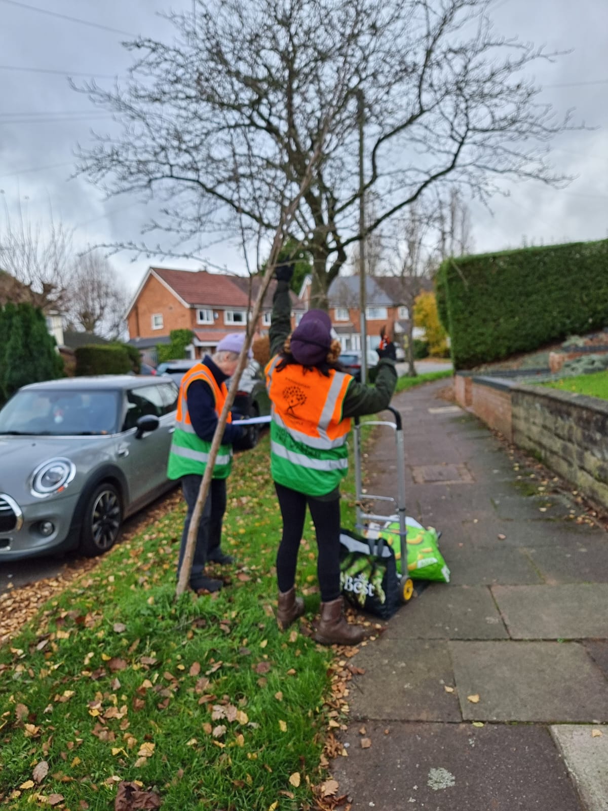 Perry Barr street trees, surveying