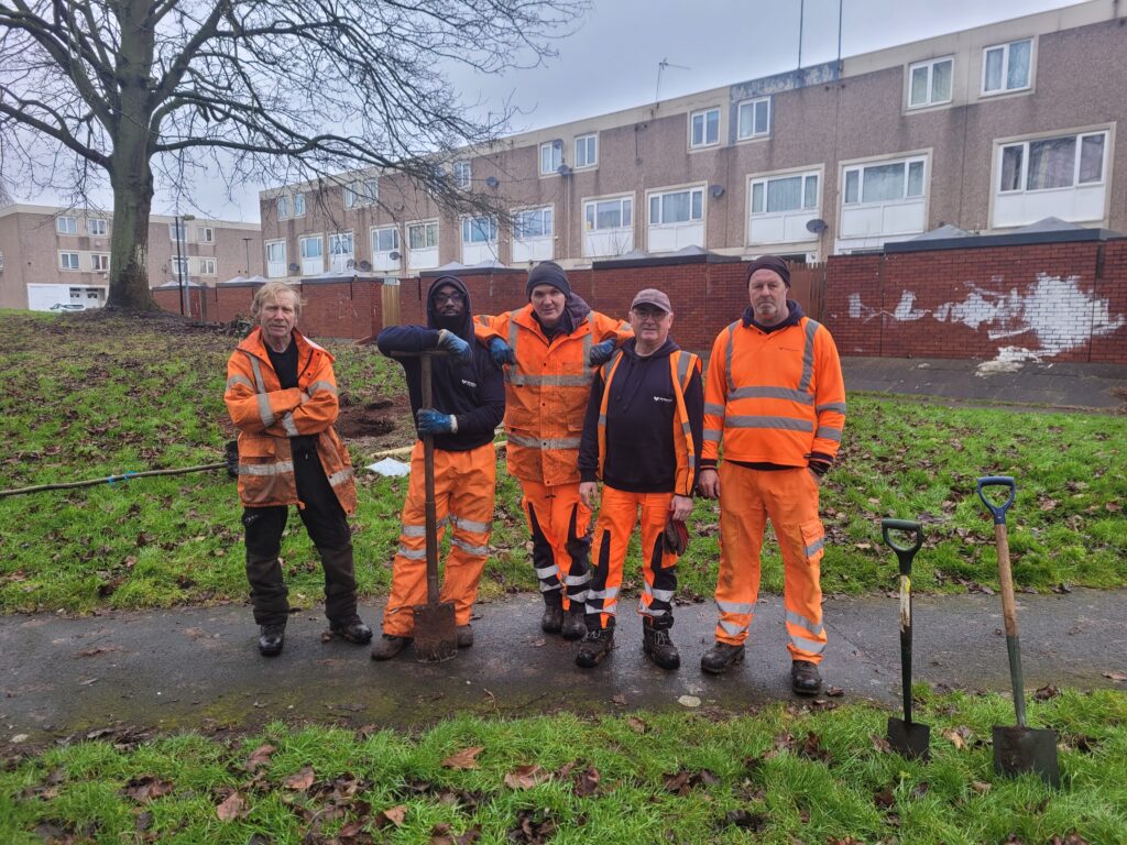 Zephaniah Forest Tree Planting, BCC team