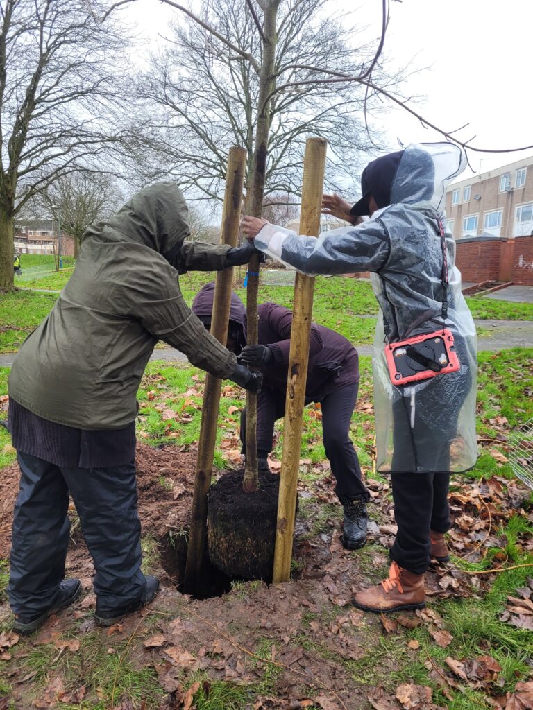 Zephaniah Forest Tree Planting, community volunteers