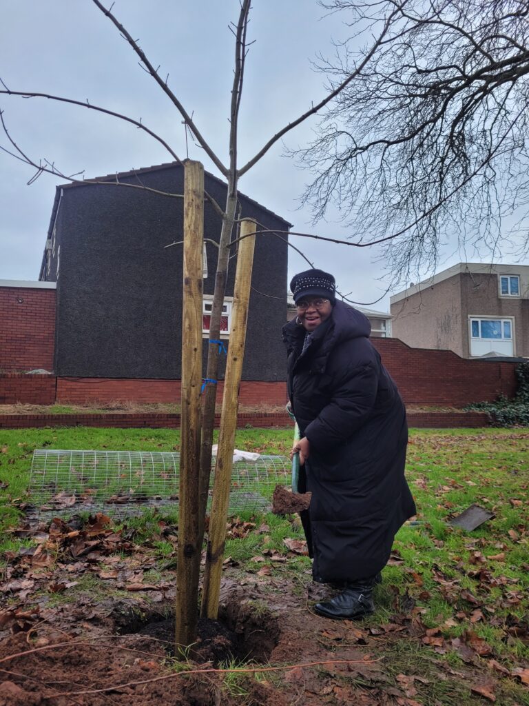 Zephaniah Forest Tree Planting, Millicent Springer