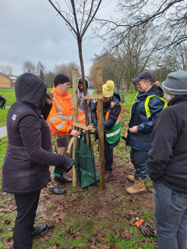 Zephaniah Forest Tree Planting, Matt and Julianne putting on the gator bag, Yvonne from BOSF, Penny from BCC, community volunteers