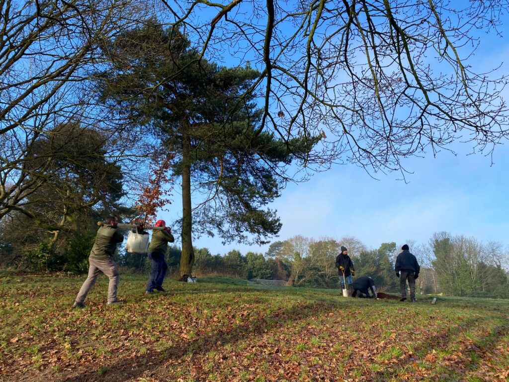 Mossy Bank Treemembrance Planting 