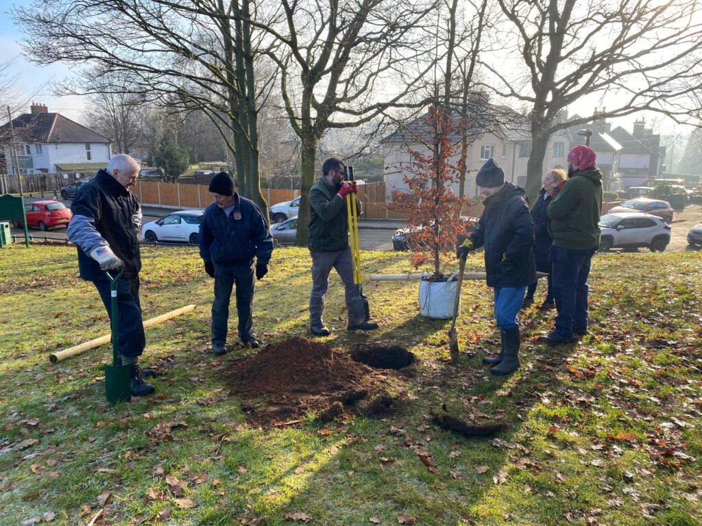 Mossy Bank Treemembrance Planting