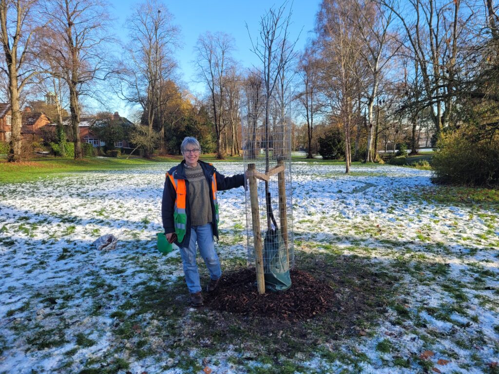 Julianne Statham, Trustee Coordinator for the Treemembrance Programme, with Carl Green's memorial tree in Bournville Park.